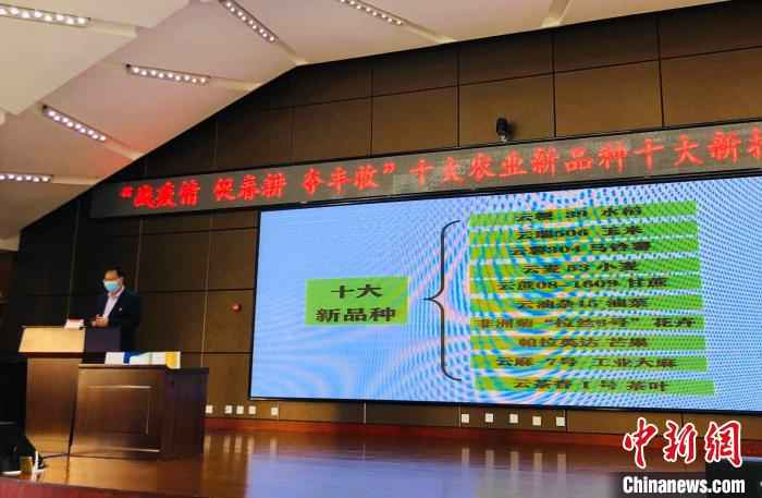  云南省农科院推出十大农业新品种 科技助力春耕生产
