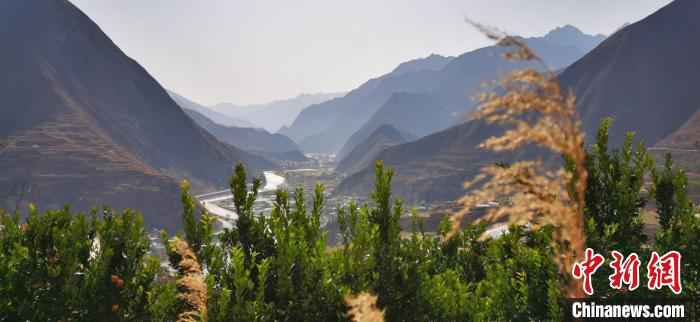  甘肃陇南种橘人“居家”野狐沟三十载：橘子红了，山头绿了